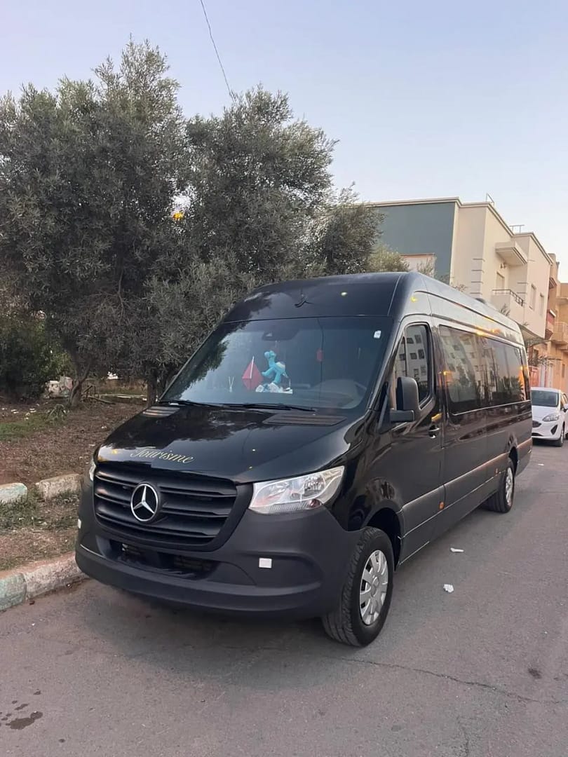 Mercedes Sprinter 17